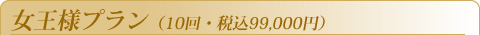 �����l�v����(10��E�ō�99,000�~)