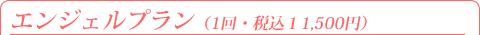 �G���W�F���v����(1��E�ō�11,500�~)